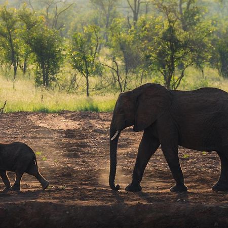 Milima Big 5 Safari Lodge Hoedspruit Eksteriør billede