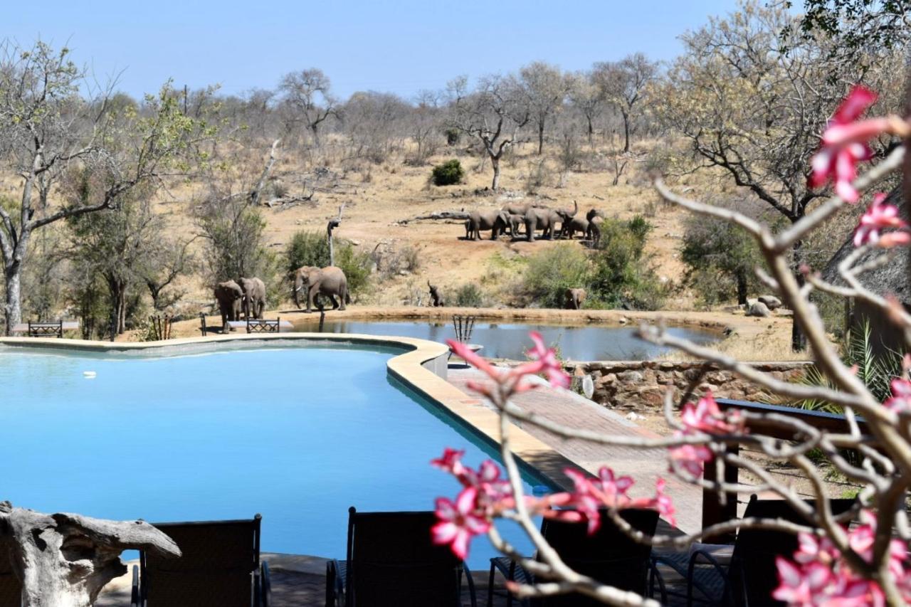 Milima Big 5 Safari Lodge Hoedspruit Eksteriør billede