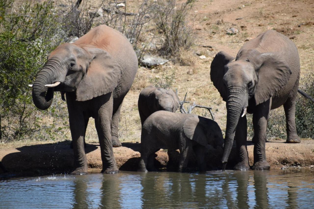 Milima Big 5 Safari Lodge Hoedspruit Eksteriør billede