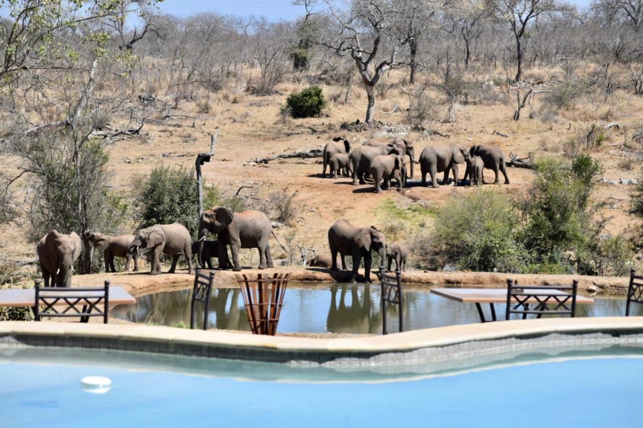 Milima Big 5 Safari Lodge Hoedspruit Eksteriør billede