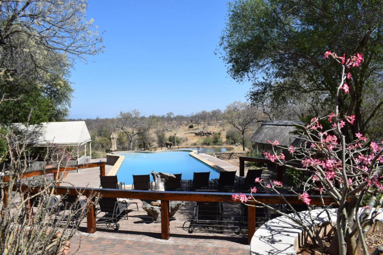 Milima Big 5 Safari Lodge Hoedspruit Eksteriør billede