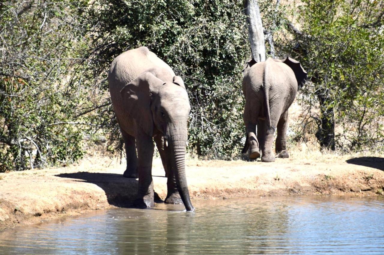 Milima Big 5 Safari Lodge Hoedspruit Eksteriør billede