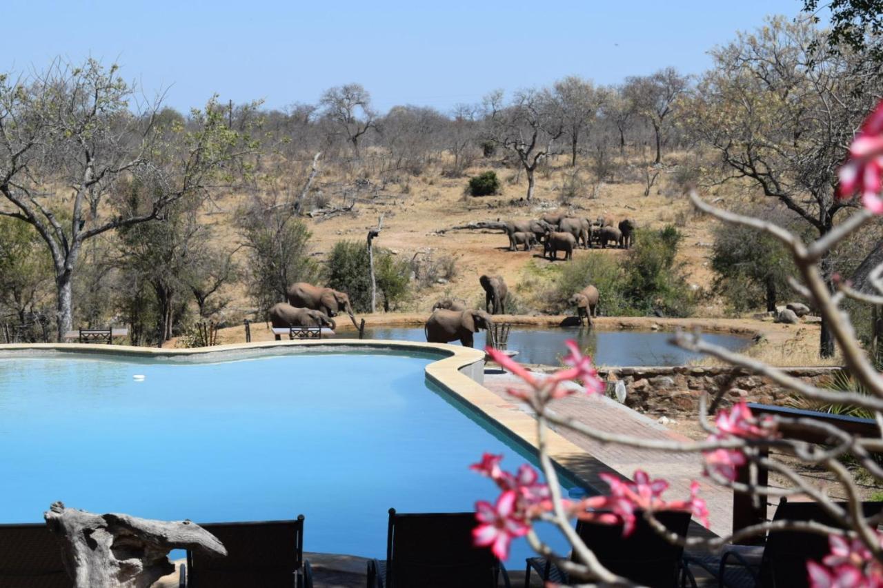 Milima Big 5 Safari Lodge Hoedspruit Eksteriør billede