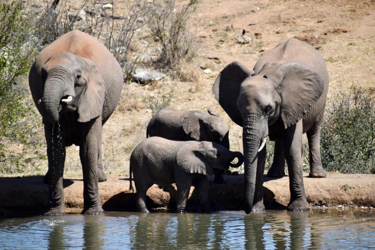 Milima Big 5 Safari Lodge Hoedspruit Eksteriør billede