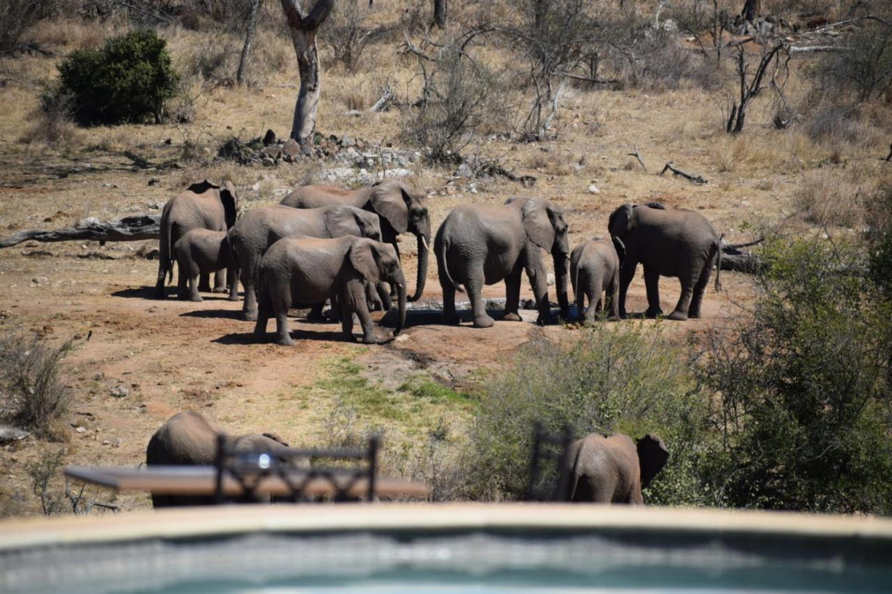 Milima Big 5 Safari Lodge Hoedspruit Eksteriør billede