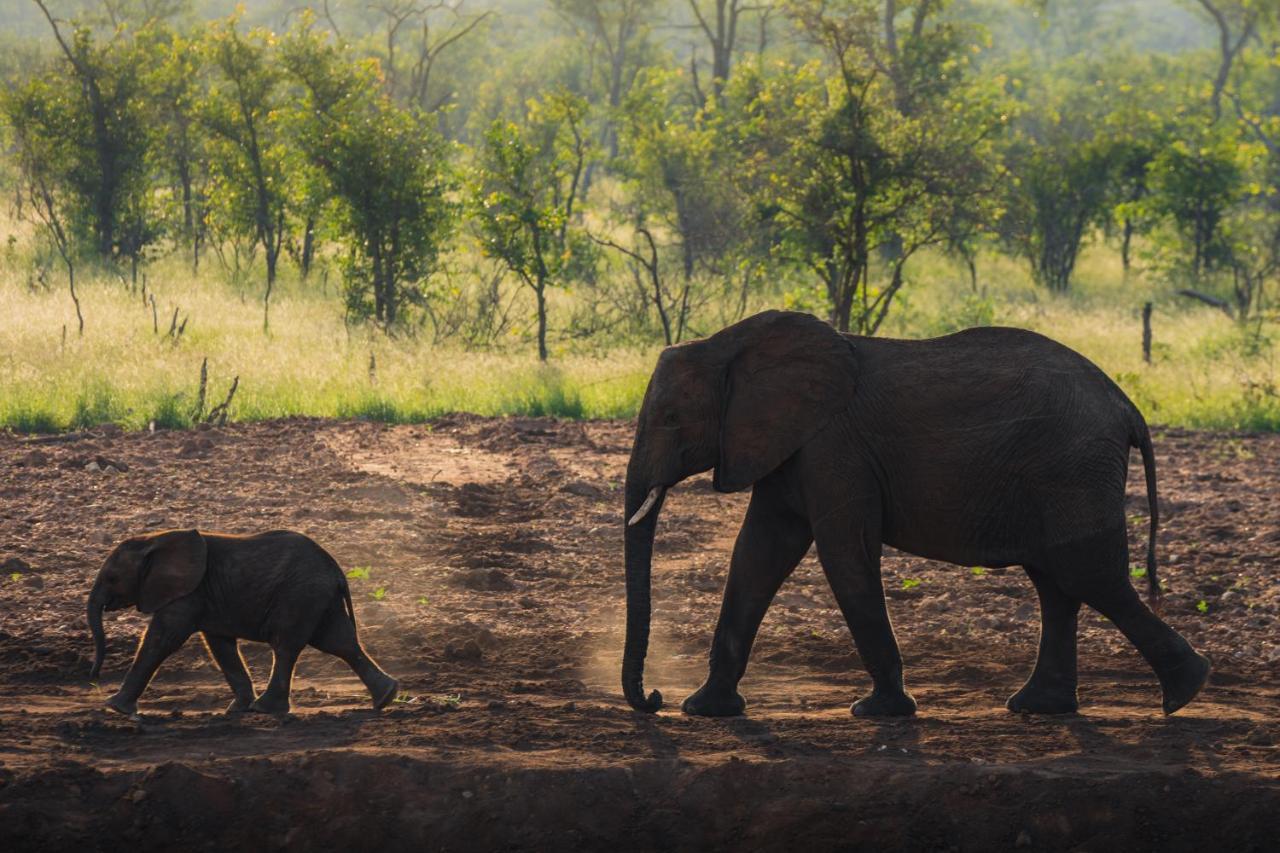 Milima Big 5 Safari Lodge Hoedspruit Eksteriør billede