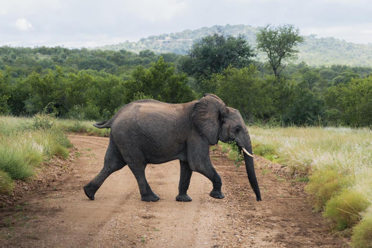 Milima Big 5 Safari Lodge Hoedspruit Eksteriør billede