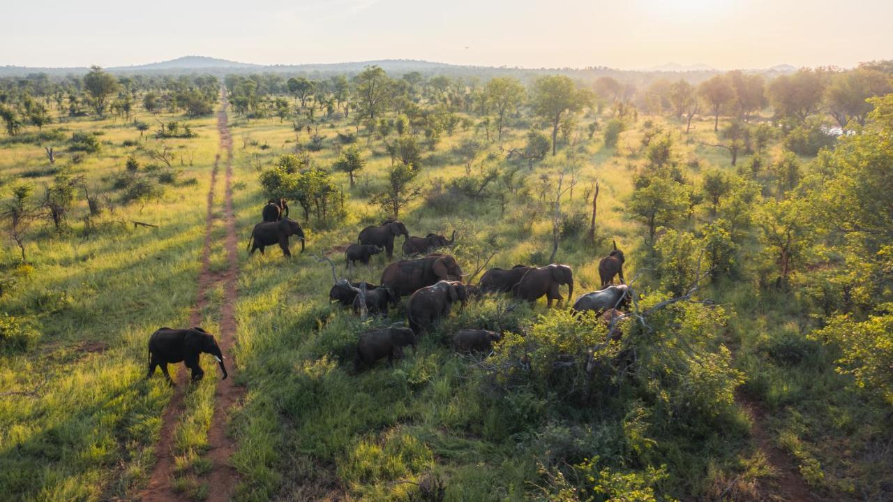 Milima Big 5 Safari Lodge Hoedspruit Eksteriør billede